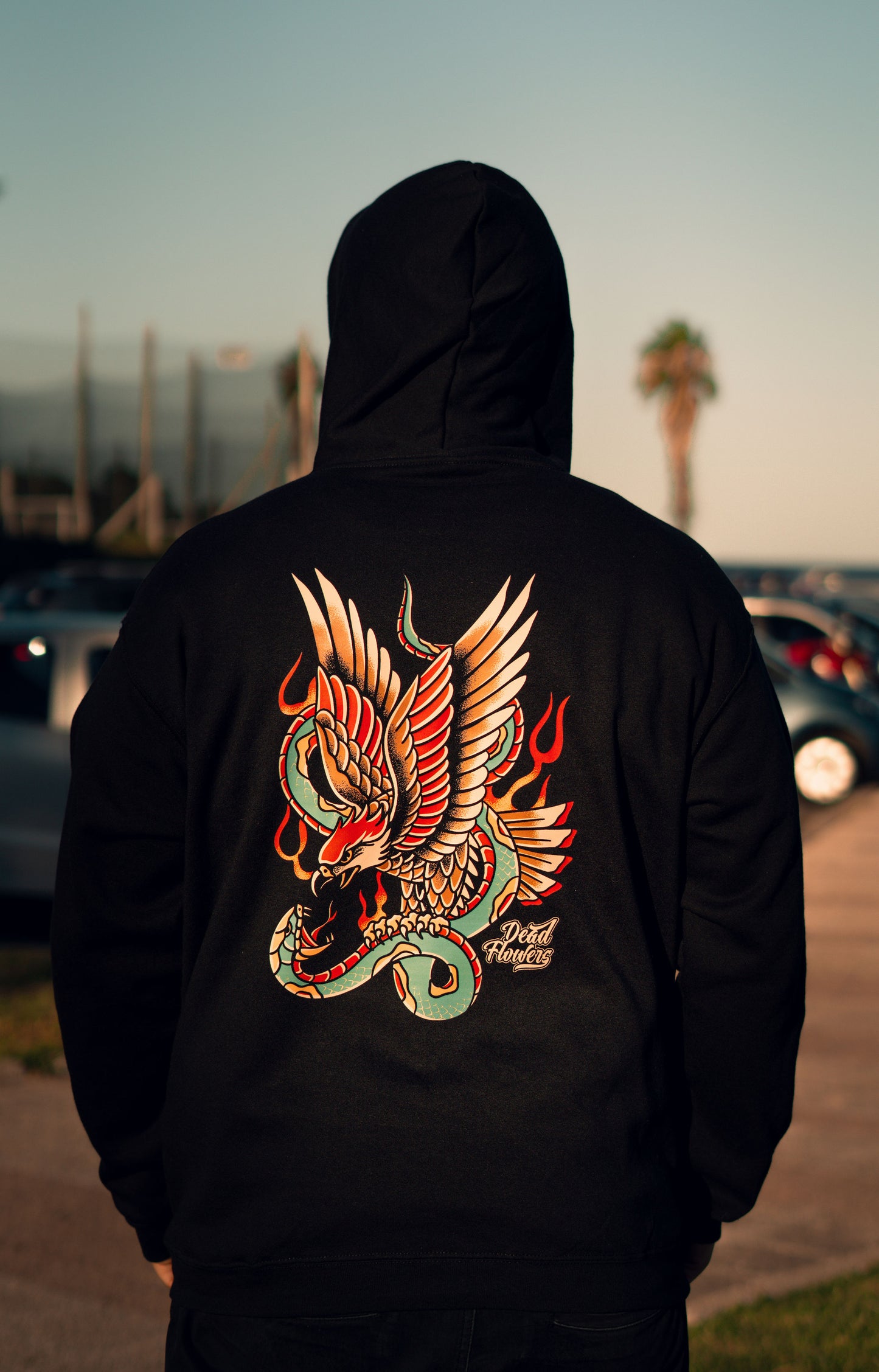 Canguro FALCON negro